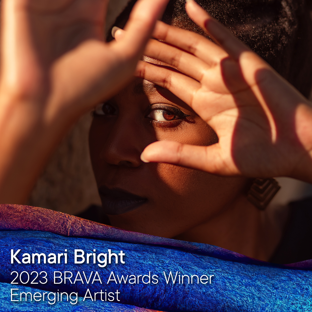 BRAVA Award Winners 2023 - Bainbridge Island Museum Of Art