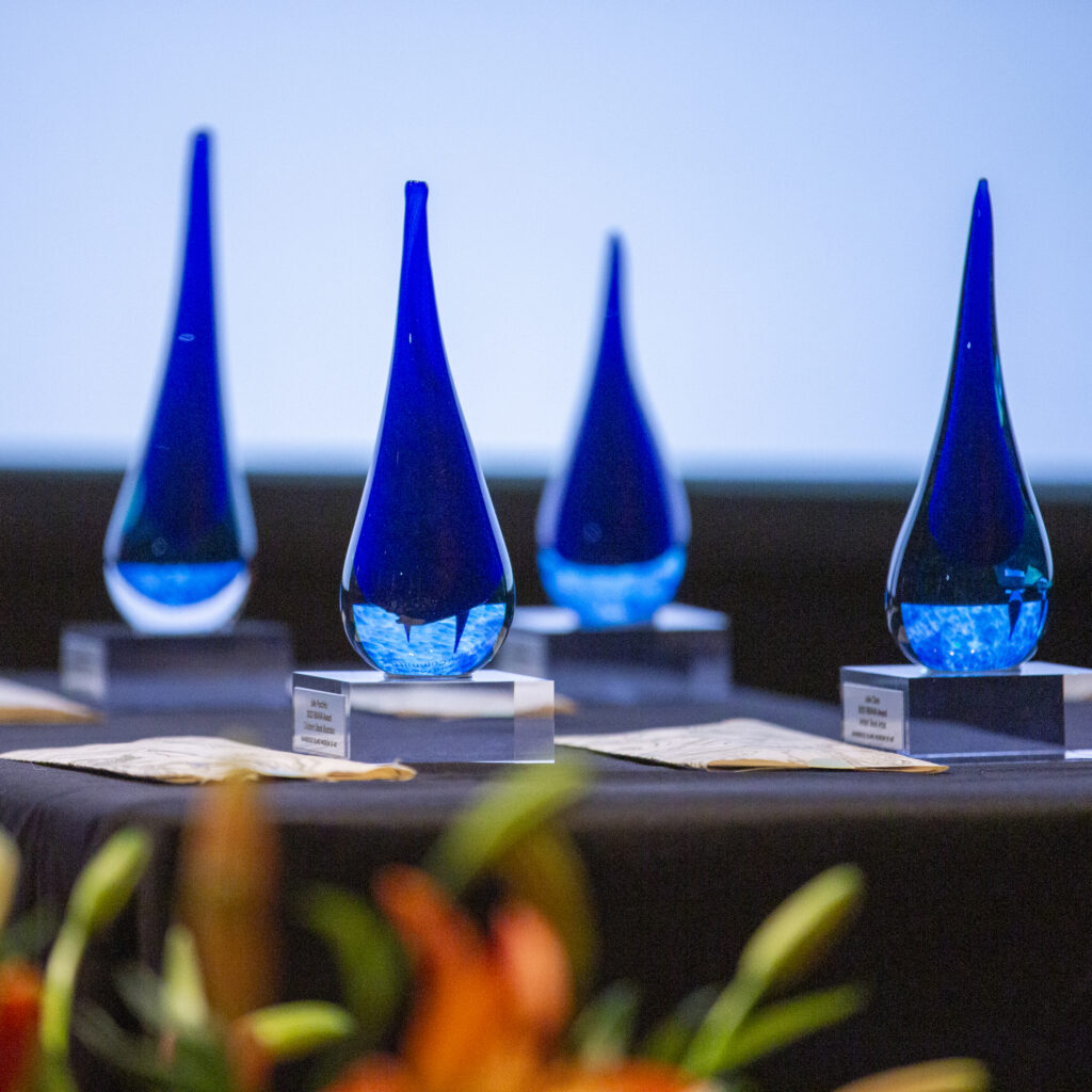 BRAVA Award Trophies